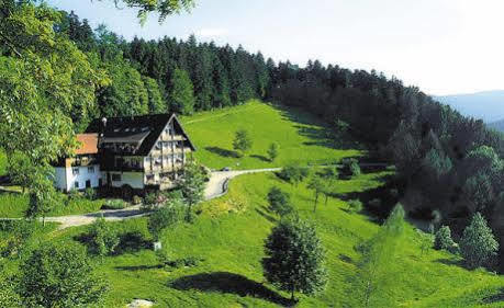 Md Waldhotel Palmspring Bad Peterstal-Griesbach Eksteriør billede