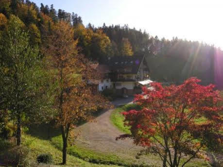 Md Waldhotel Palmspring Bad Peterstal-Griesbach Eksteriør billede
