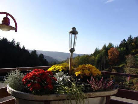 Md Waldhotel Palmspring Bad Peterstal-Griesbach Eksteriør billede